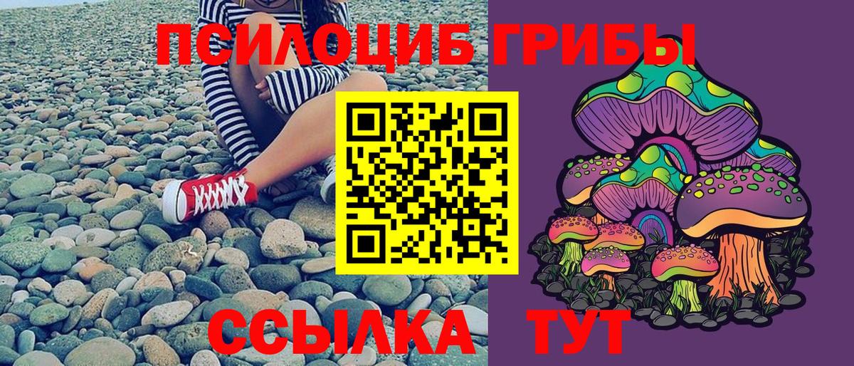Псилоцибиновые грибы Magic Shrooms  Вход с VPN  Новомосковск  Галлюциногенные грибы MAGIC MUSHROOMS 